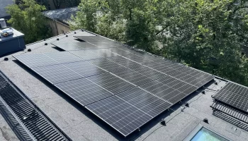 wspolnota_metropolis6