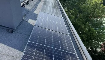 wspolnota_metropolis7